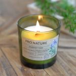 Duftglas „PRO NATURE“ mit Rapsöl und Holzdocht – Bild 8