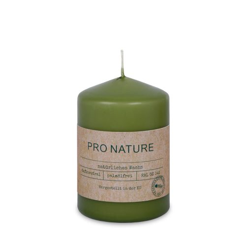 Stearin Stumpen "PRO NATURE", 100/68 mm, Weihnachtsedition